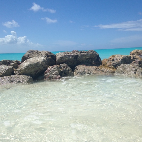 Meet your Posher, Anne - Picture 2 of 3